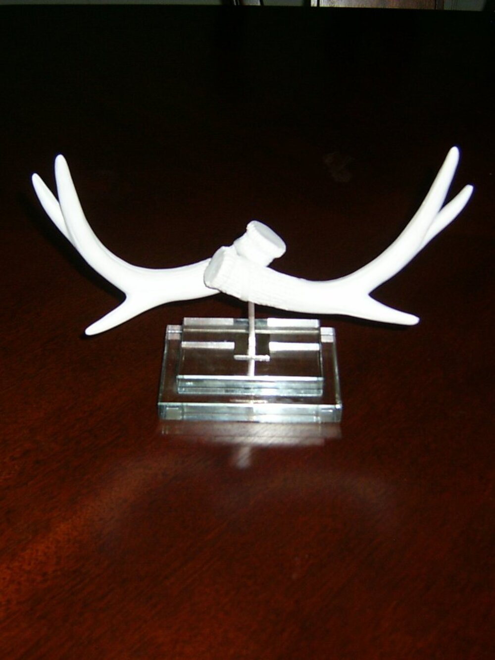 Decorative Antler Jewelry Stand